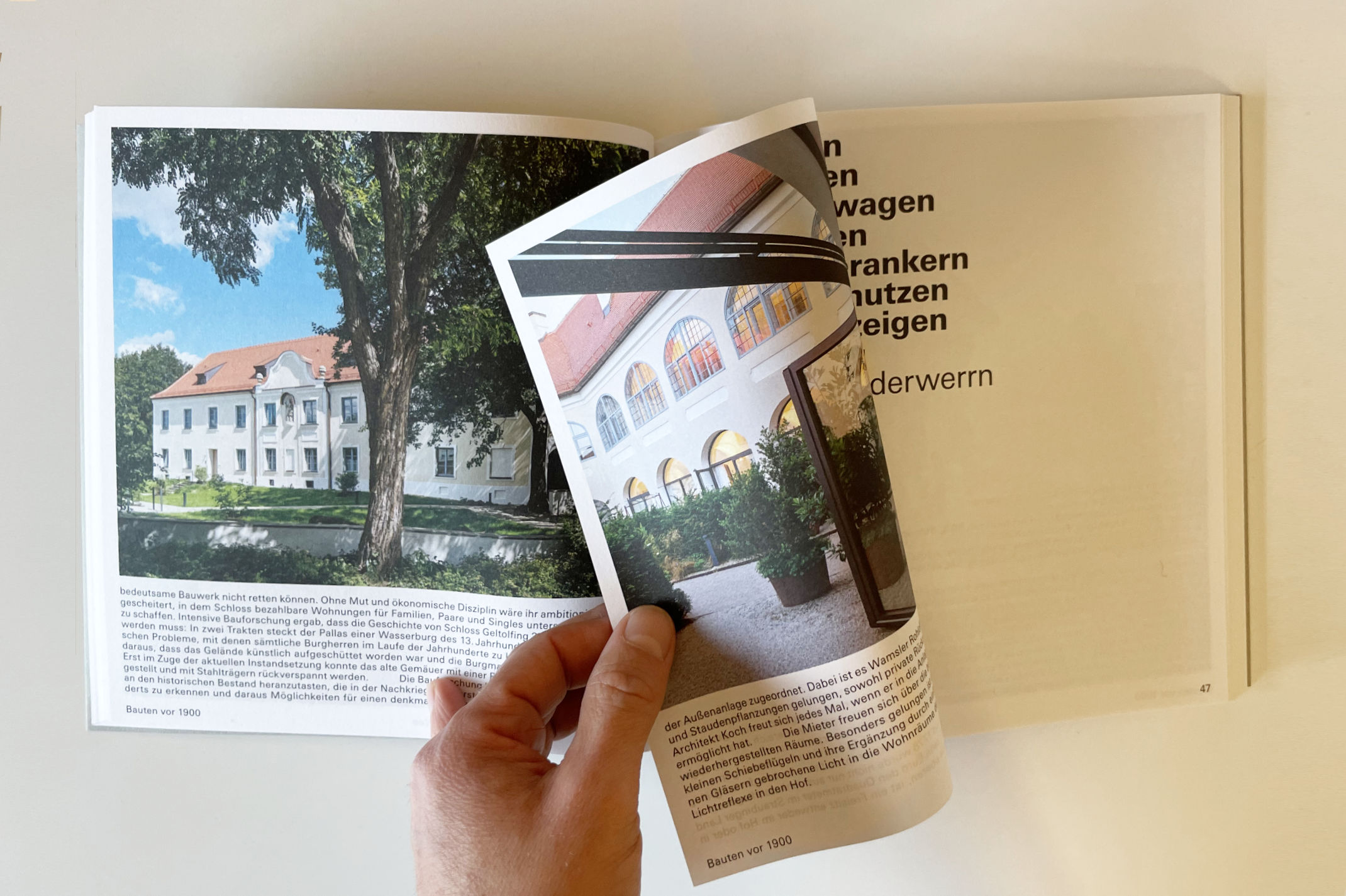 Auszug aus der Publikation